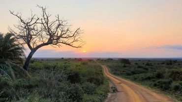 Wilderness begins after the roads much less travelled.