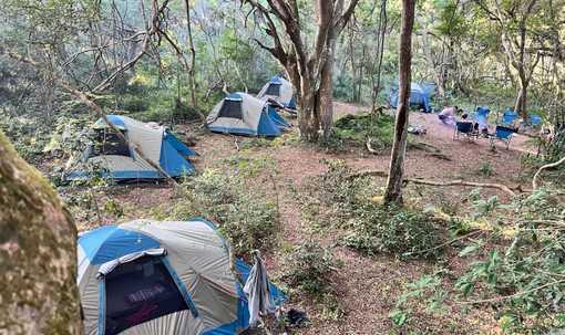 The mobile camp set up under the protection of the ancient forest canopy.