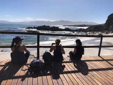 A delicious picnic lunch to be enjoyed after a swim at Stanford Bay