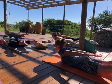 At one with nature in our makeshift yoga studio