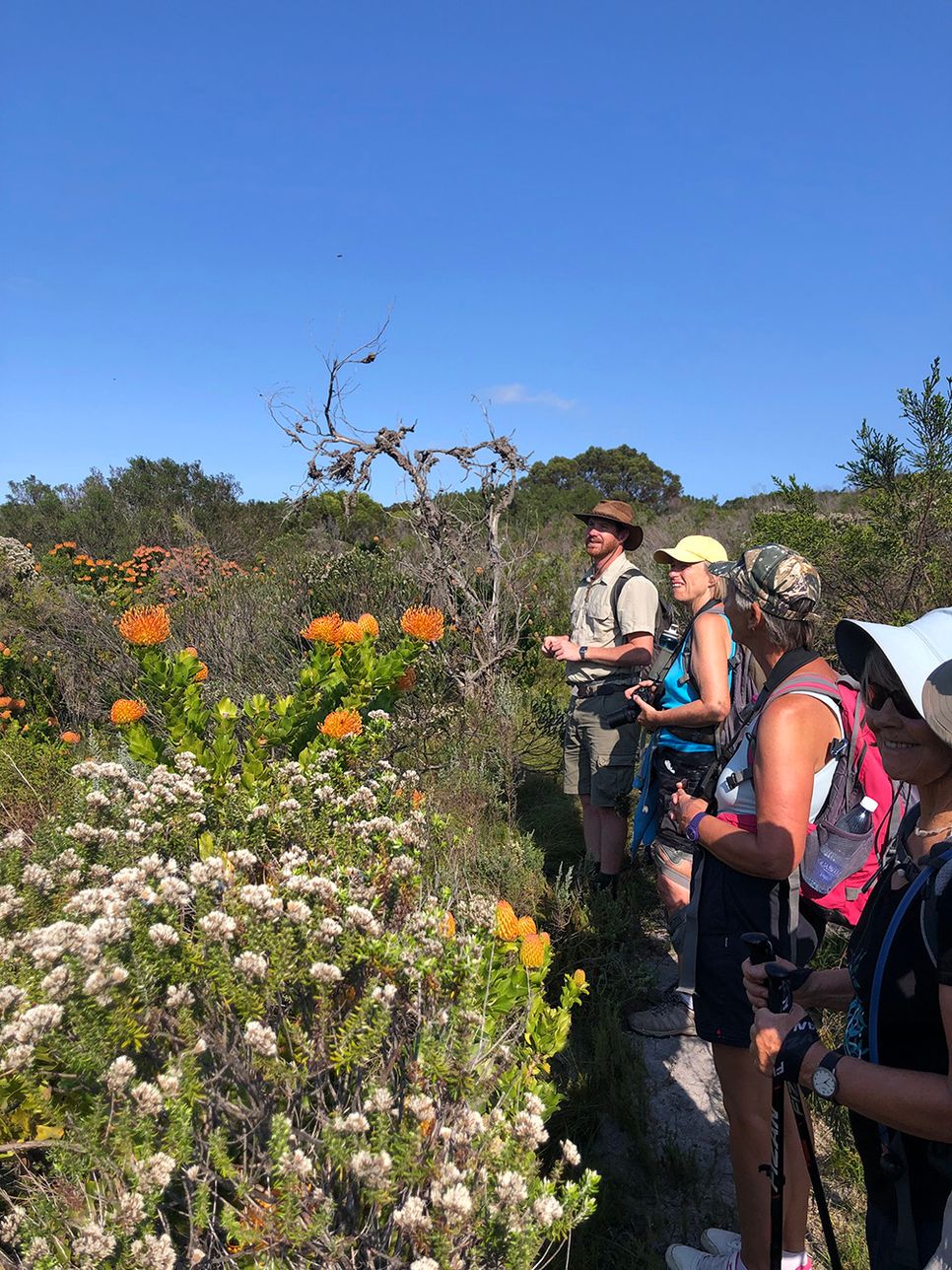 The Fynbos Trail – Overberg