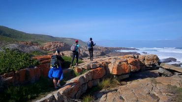 Rocky coastline near Cape St Francis