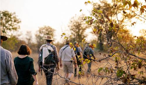 Maseke Wilderness Trail